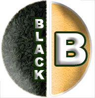 Black Tea (image for) Black Tea