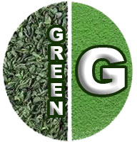 Green Tea (image for) Green Tea