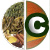Buy chai tea and matcha tea in Canada